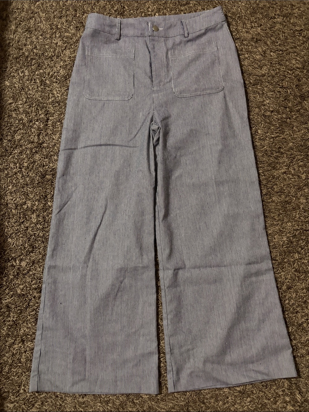 Blue Stripe Women's Pants